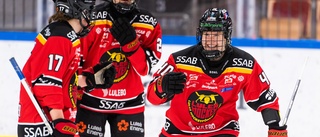 Luleå Hockey har inlett samtal med Tulus: "Vi kommer att göra allt vi kan"