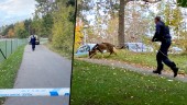 En person skjuten i Eskilstuna – stor polisinsats