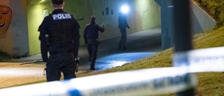 Fjärde person häktad för Helsingborgsmord