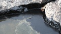 ”Farliga oljetransporter hör inte hemma i Östersjön”