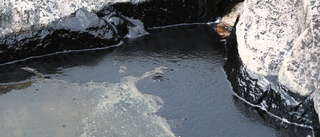 ”Farliga oljetransporter hör inte hemma i Östersjön”