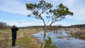 Gotlands vattentäkter går att fylla på