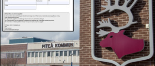 Kommunen testar ny e-tjänst för medborgarförslag: "Intressant se vad Piteåborna föredrar"