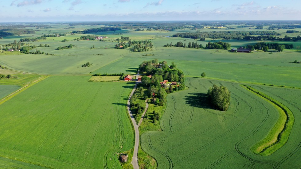 Riksdagskandidater för Centerpartiet i Östergötland skriver om lantbrukets förutsättningar.