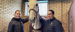 Tierps ryttarklubbs ungdomssektion blev Årets eldsjäl