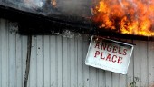 Hell Angels i Norrbotten: Allt vi berättade om har besannats