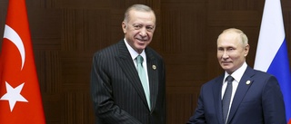 Putin och Erdogan möts på måndag