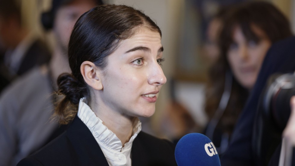 Att Romina Pourmokhtari (L), Sveriges nya klimat- och miljöministern, ”bara” är 26 år gammal har av vissa tagits som intäkt för att regeringen inte bryr sig om miljön.