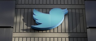Twitter kan ta betalt för blå bock