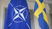 Högt svenskt förtroende för Nato