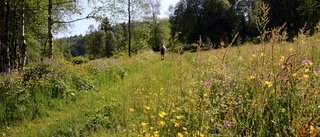 Tuff start på ödesmöte för naturen