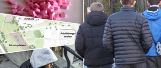 Nazistsympatier och rosa tabletter för tio kronor – ungdomar glömdes i den nya stadsdelen • Föräldrar: "Situationen är akut"