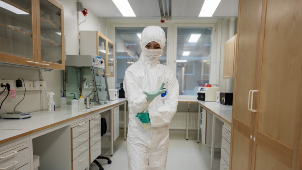 Följ med in i superlabbet på Norbyvägen – här finns 10 000 år gamla ...