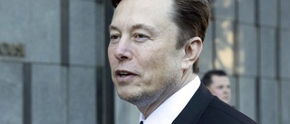 Elon Musk: Stoppa AI-kapplöpningen