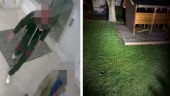Hotade fyraåring med pistol – duo döms till fängelse 