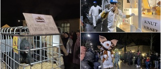 Karnevalen i Gimo: "Är verkligen folkfest"  •  ✓  Furuviksparken ✓  Fröken Snusk ✓  Pistvakt 