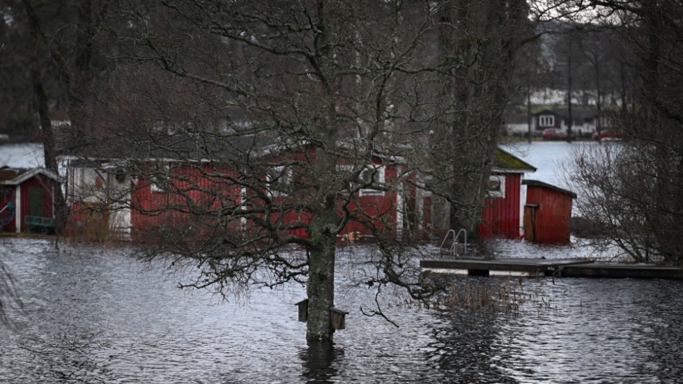 Regeringens klimatpolitik är ett stort svek mot svenskar som bor nära vatten och riskerar att drabbas av bland annat översvämningar, menar insändarskribenten.