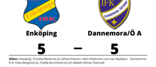 Enköping och Dannemora/Ö A delade på poängen