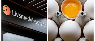 Återkallar ägg efter salmonellaalarm • Willys och Ica Maxi i Enköping har vidtagit säkerhetsåtgärder: "Äggen var på kampanj"