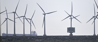 Försvaret nobbar vindkraftssatsning på Åland