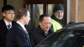 Uppgift: Nordkoreansk ex-minister avrättad