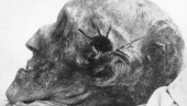 Forskare: Karl XII dödades av fiendekula