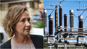 Elektriciteten i Sverige skulle behöva en Juno Blom