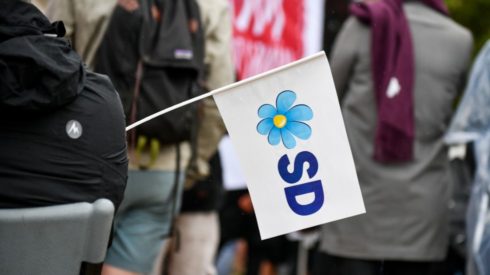 Tolv sverigedemokratiska politiker i Klippan har uteslutits ur partiet efter att man röstat fram två tidigare nazister till förtroendeposter i kommunen. Arkivbild.