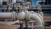 Expert: Gasavtal minskar ryskt inflytande