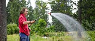 Sommarjobbsgaranti för unga