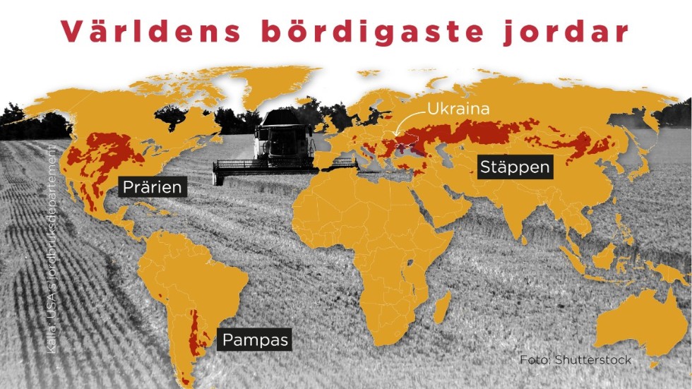 Här finns världens bördigaste jordar. Stäpp, prärie och pampas. Nästan hela Ukraina ligger i ett av de bördigaste områdena med lössjordar på jordklotet.