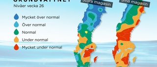 Lågt grundvatten ger oro för vattenbrist – mycket låga nivåer i Götaland