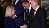 Turkisk statsvetare: Två punkter problematiska