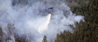 Fler åtgärder mot skogsbrand i dag: "Alla har förstått allvaret"