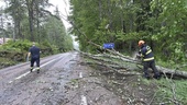 Omkullblåsta träd blockerade flera vägar