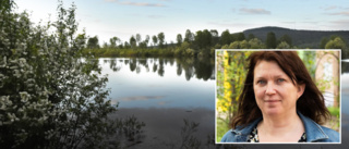Hon återvände till hembyn efter 20 år i Luleå • Ångrar inte sitt beslut: "Önskar att fler skulle våga testa"