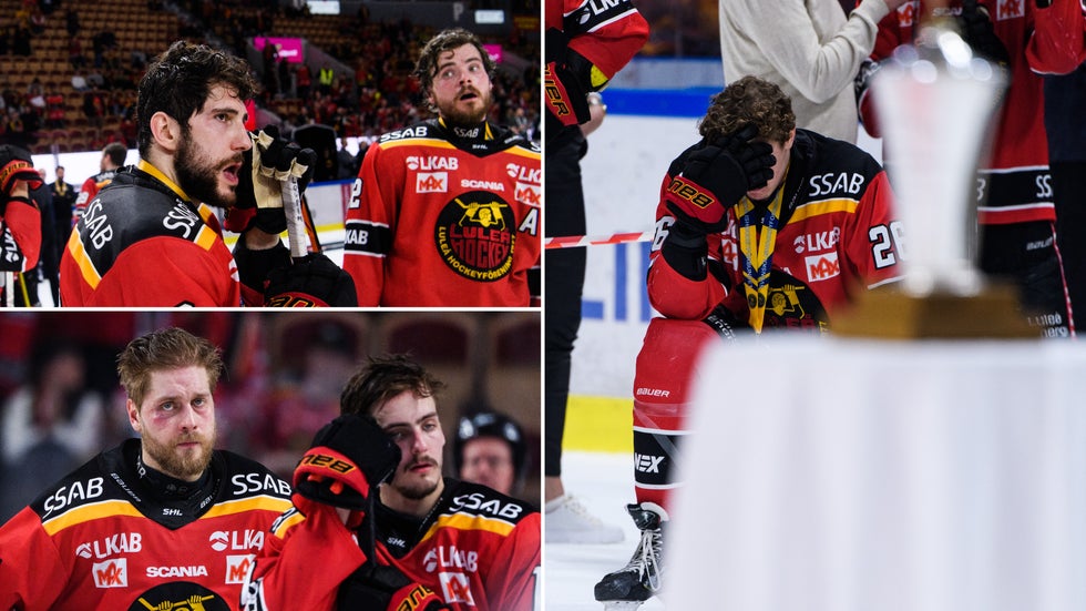 "Att spela final var en häftig upplevelse, även om vi förlorade den, och jag tror den kommer hjälpa oss att ta det där sista klivet som förening och lag. Kolla på Tampa (Bay Lightning). De gick på några minor, sedan vann de två år i rad, jag hoppas att vi ska göra något liknande", säger Erik Gustafsson.
