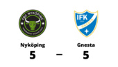 En poäng för Gnesta borta mot Nyköping