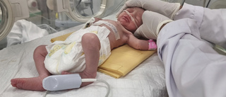 Gaza: Bebis räddad ur sin döda mammas livmoder