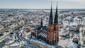 Uppsala är Sveriges självklara litteraturhuvudstad