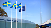 ”Nato-medlemskap gör Gotland tryggare”