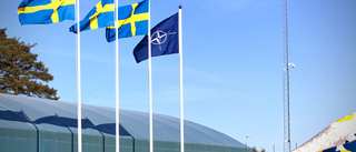 ”Nato-medlemskap gör Gotland tryggare”