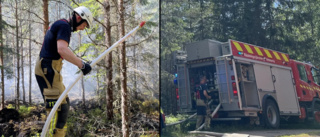 Räddningstjänsten kämpade i skogen utanför Frödinge