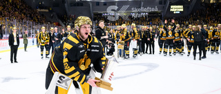 AIK-trion invalda i ”All star”-laget • Fick flest röster