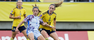 Sverige ansöker om att arrangera fotbolls-EM