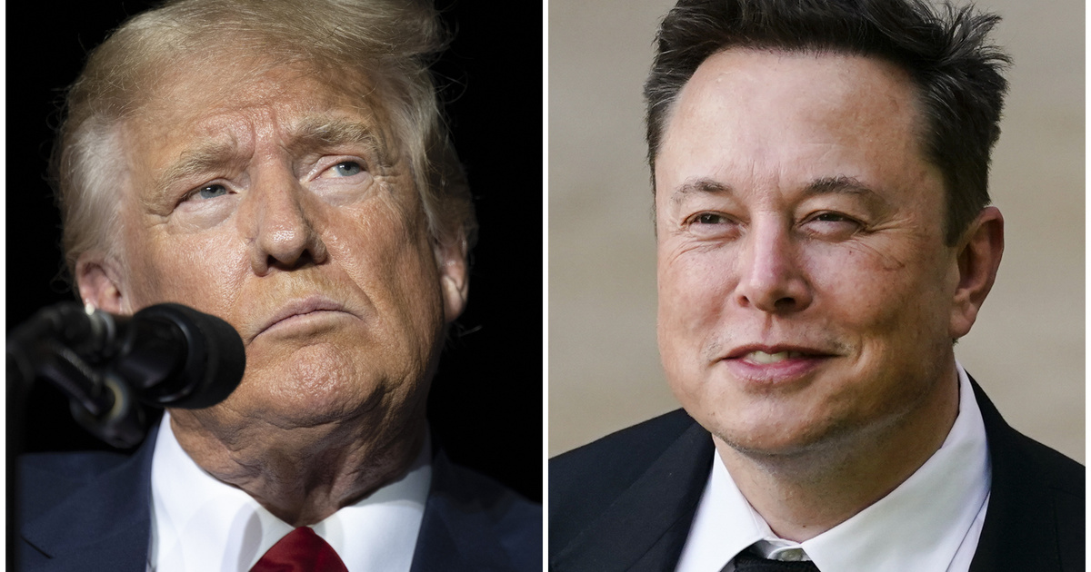 Stora problem för Musk och Trump