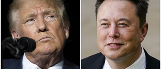 Musk intervjuar Trump: "Garanterad underhållning"