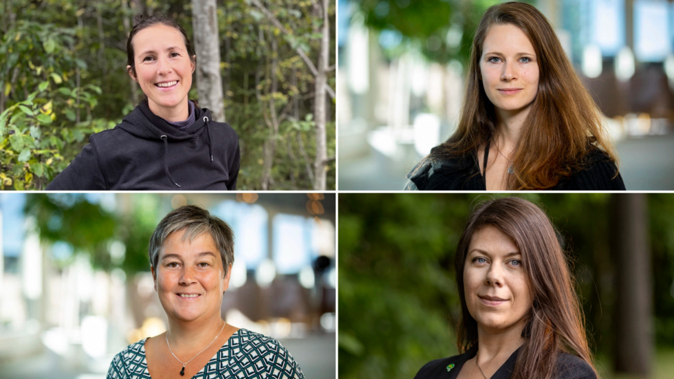 Skribenterna ovan från vänster: Linnea Öhman, Rebecka Le Moine Emma Nohrén och Elin Söderberg. Alla är miljöpartister.