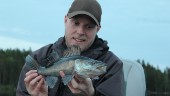 ”Det finns inget liknande i hela Norrland” 