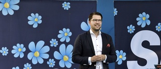 Sverigedemokraterna är inte Sveriges bästa vän